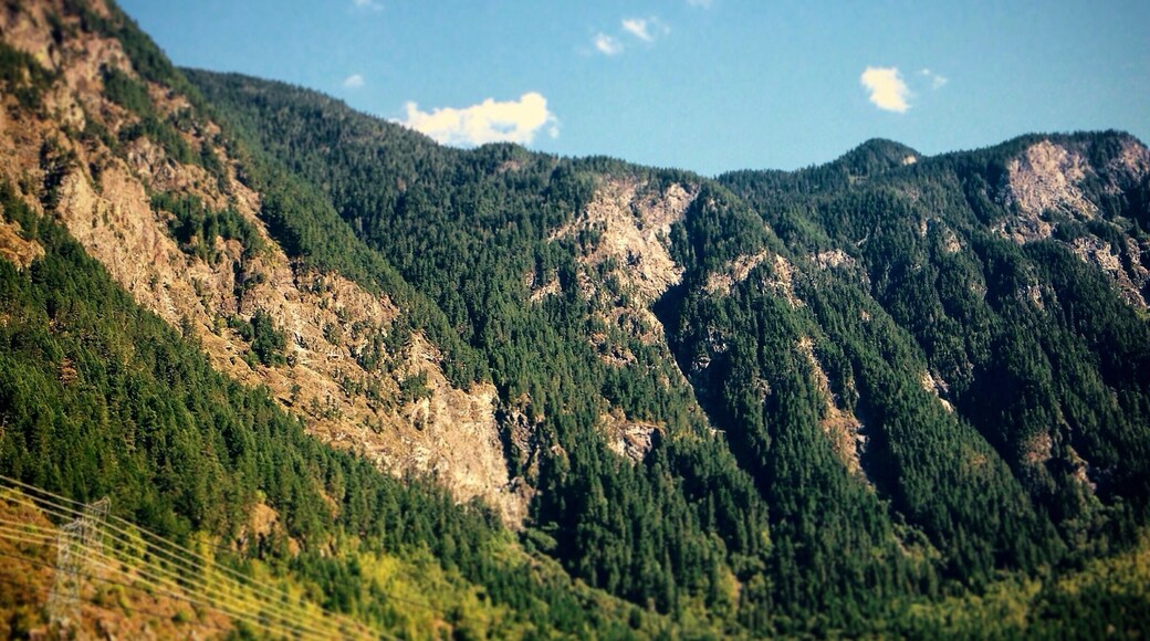 View of the canyon from the rest point.