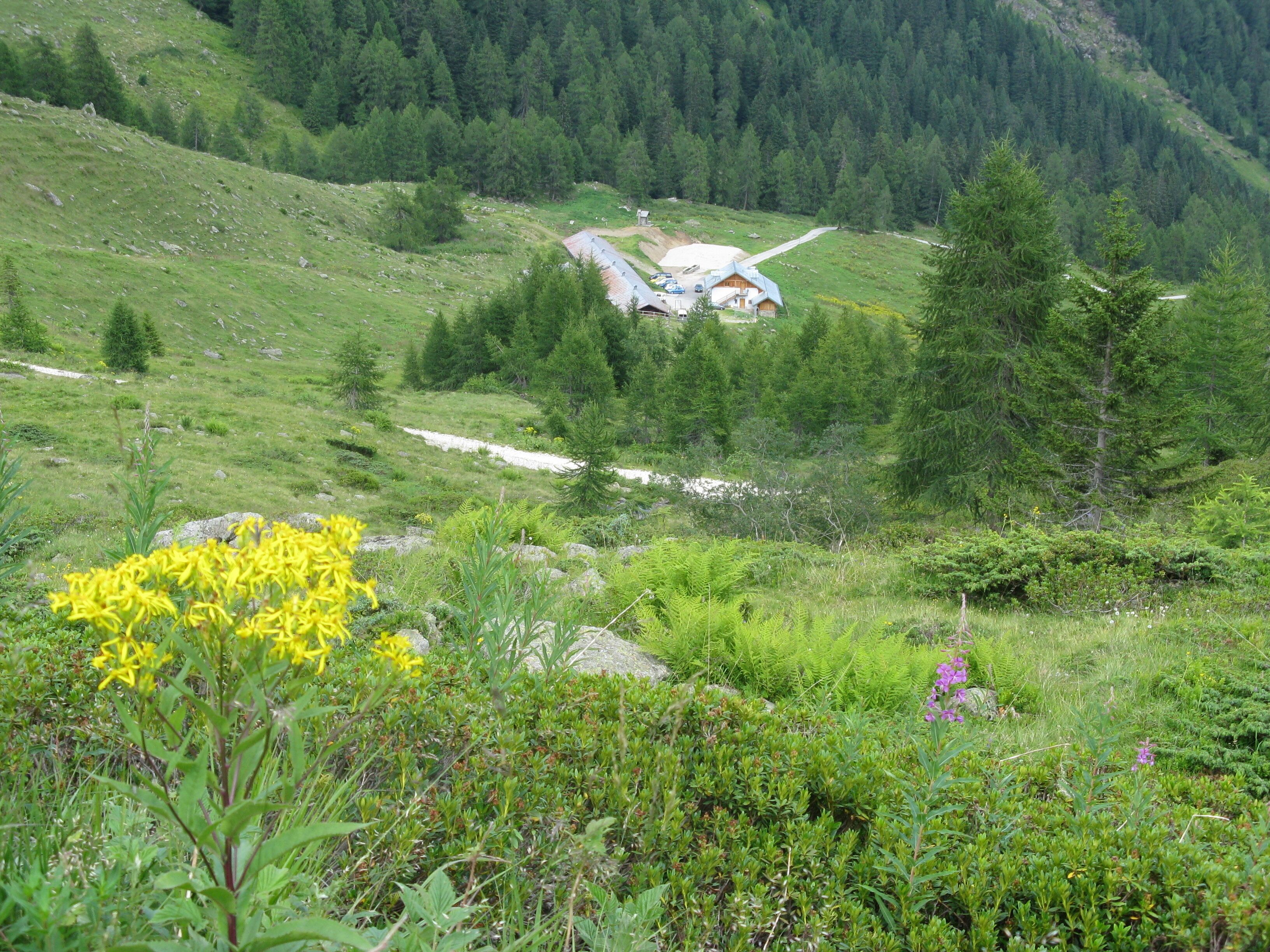 MALGA BORDOLONA (TN)