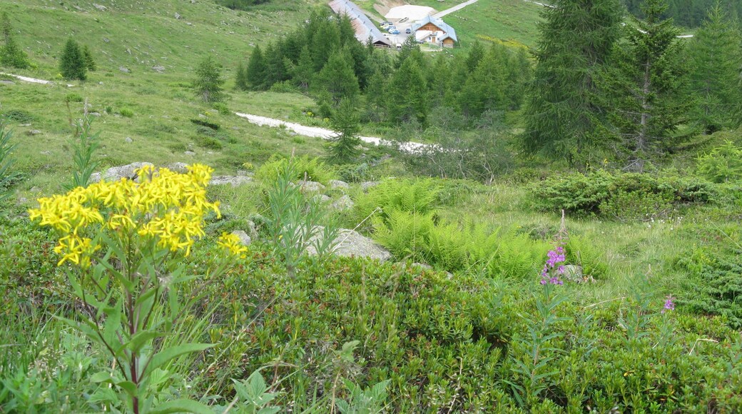 MALGA BORDOLONA (TN)