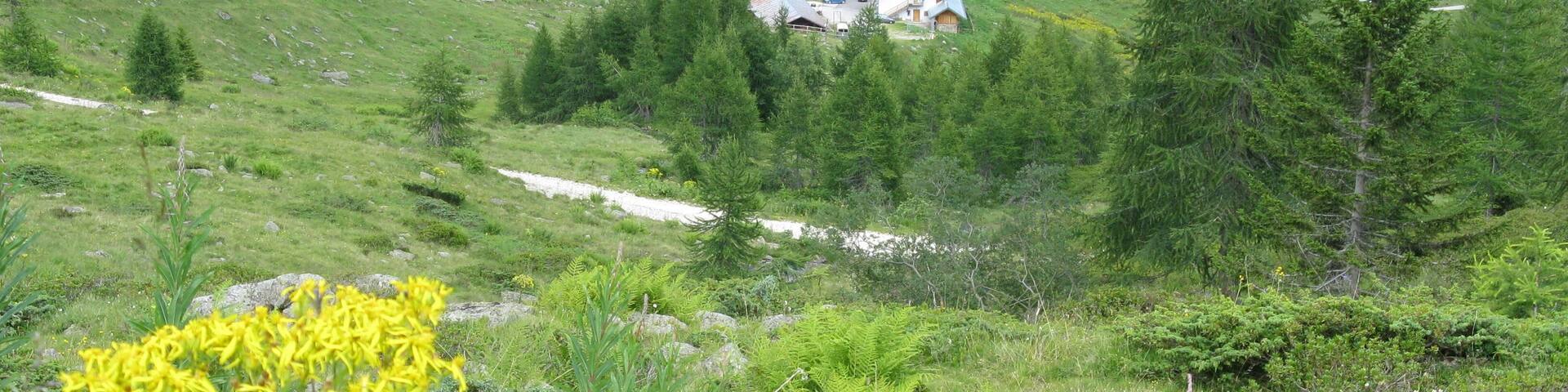 MALGA BORDOLONA (TN)