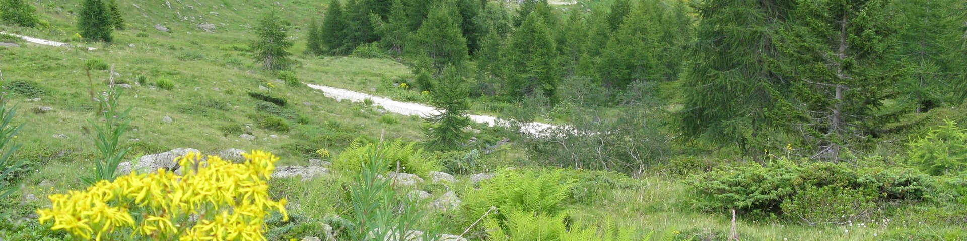 MALGA BORDOLONA (TN)
