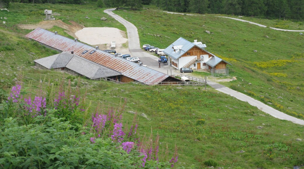 MALGA BORDOLONA