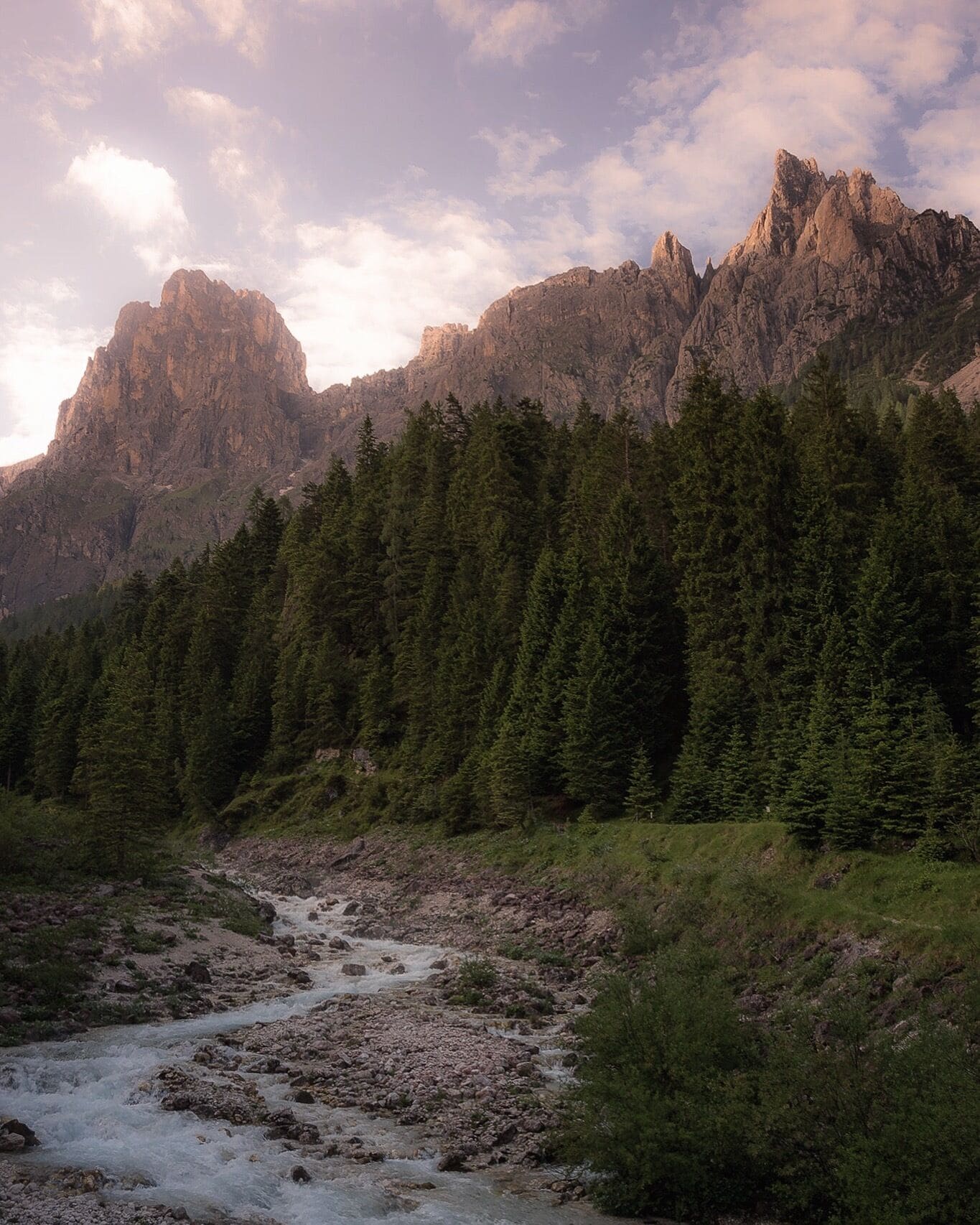 Un posto da favola un ruscello che scorre ai piedi delle montagne costeggiato da abeti.