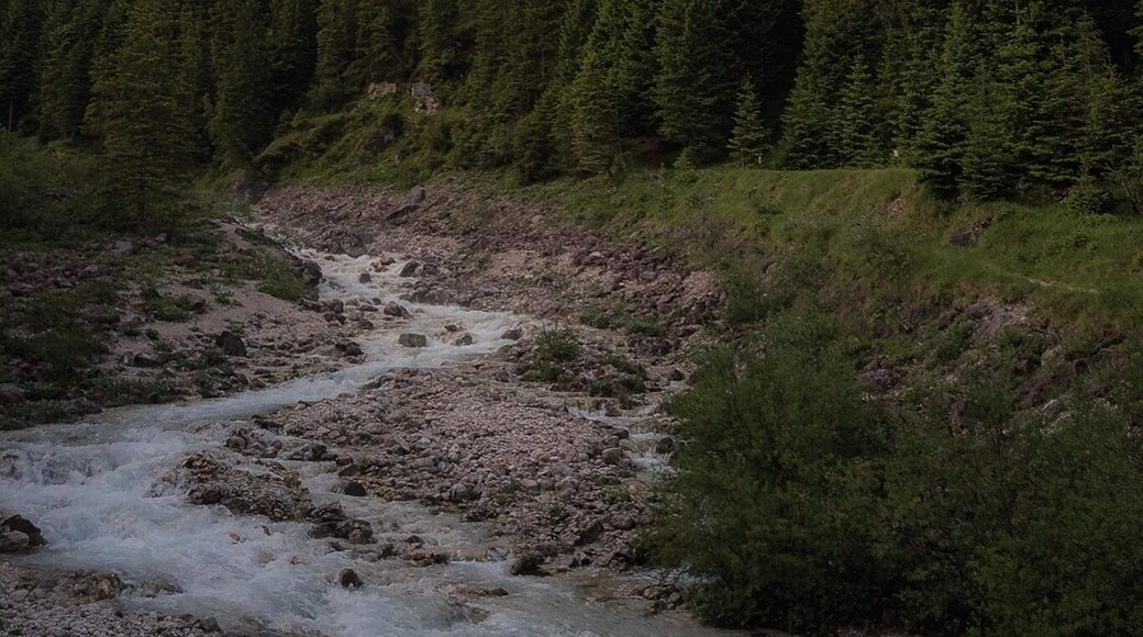 Un posto da favola un ruscello che scorre ai piedi delle montagne costeggiato da abeti.