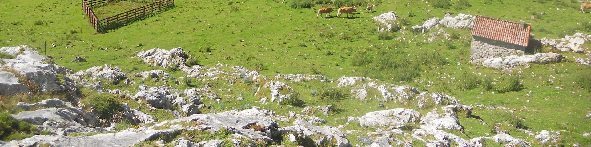 Mayada de Sabugu , Amieva , Asturias.