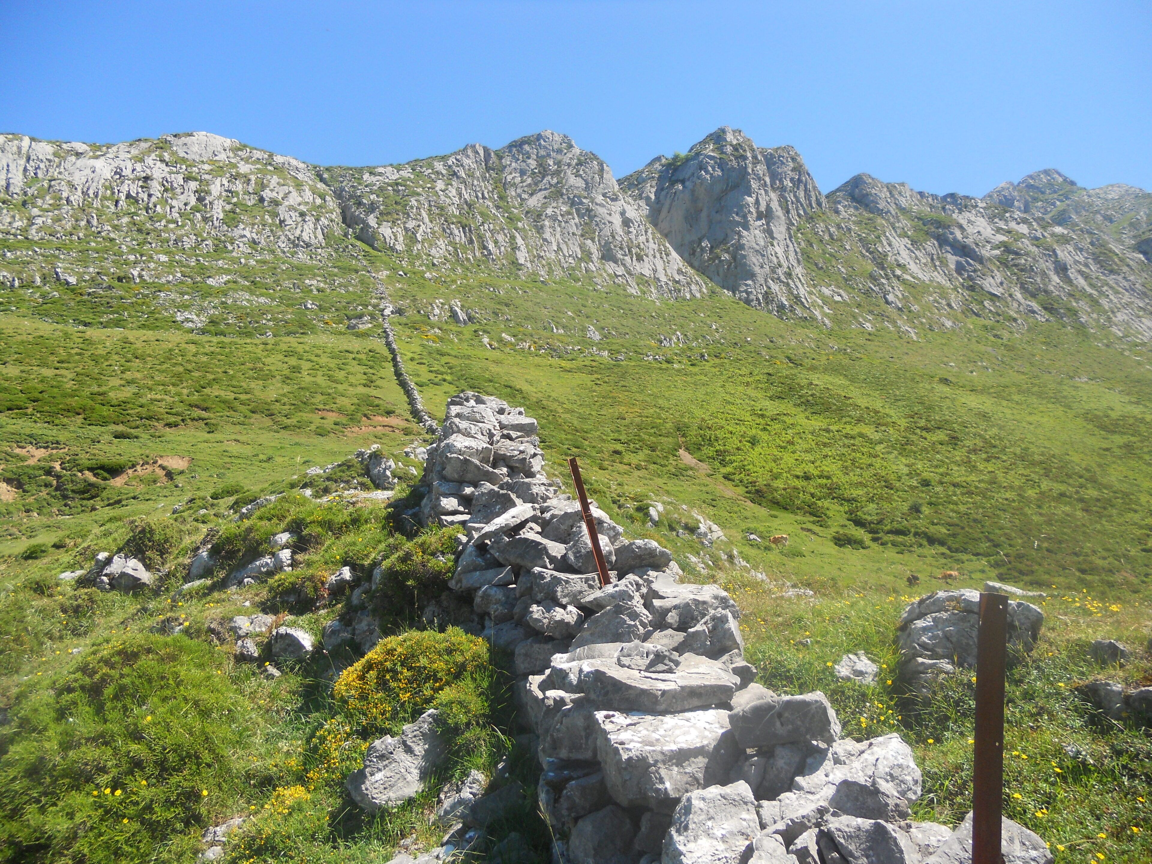 División de pastos en Picos de Europa.