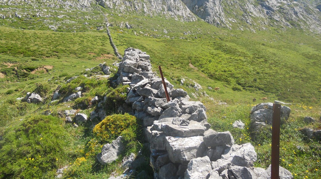 DivisiĂłn de pastos en Picos de Europa.