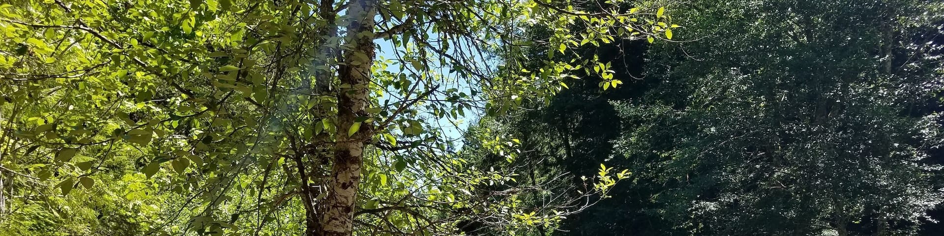 Great camping if ya know where to look.