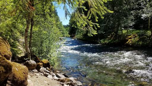 Camping at its finest. Oregon not only provides great state and national parks, but also has some great free camping if you're willing to go off the beaten path.