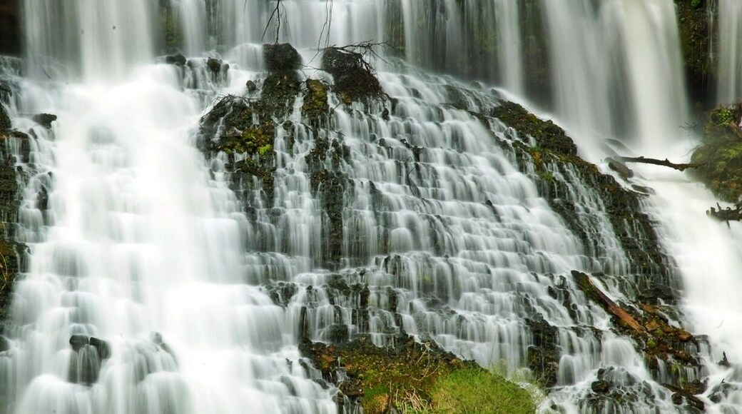 Another close up of the main waterfall at rock island state park! I love this plae
