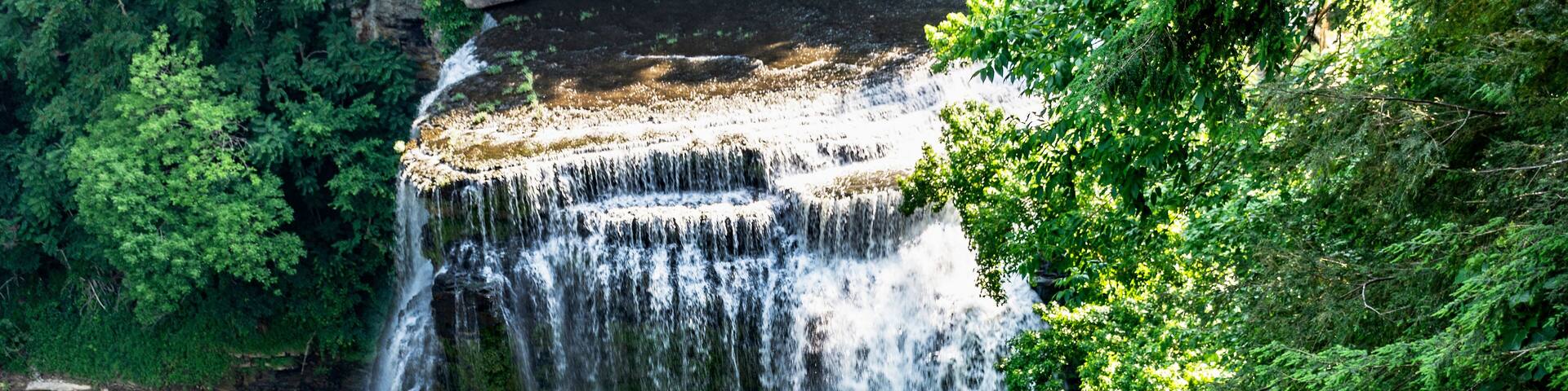 A waterfall cascading down a rocky cliff surrounded by lush greenery.