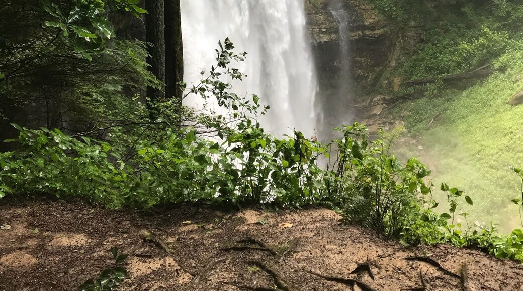 Since I was 8, this has been one of my favorite backpacking hikes with a great 100 ft waterfall as the finale! Once known as Virgin Falls Pocket Wilderness, this almost 5 mile trail is now a State Park and very well maintained with lots of visitors. Easier to view in the Fall.