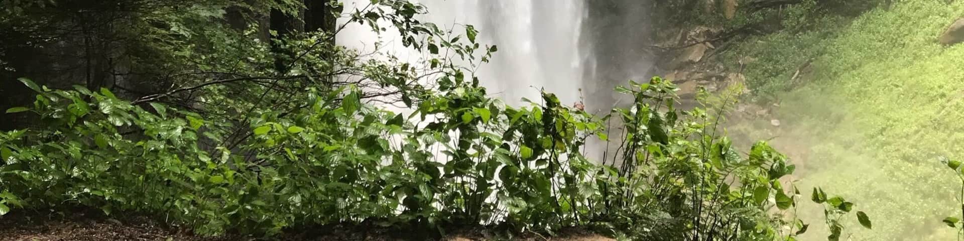 Since I was 8, this has been one of my favorite backpacking hikes with a great 100 ft waterfall as the finale! Once known as Virgin Falls Pocket Wilderness, this almost 5 mile trail is now a State Park and very well maintained with lots of visitors. Easier to view in the Fall.