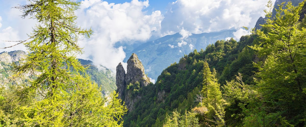 A mountain landscape with a prominent tree in the foreground, a rocky peak, and a valley with dense forest.