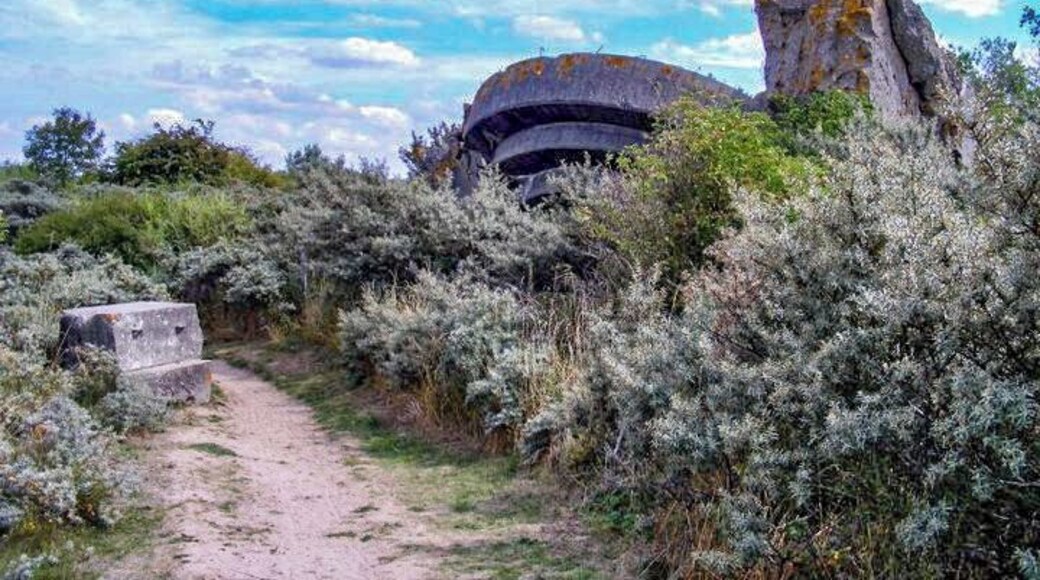 Remains of World War 2 gun placements at Oye-Plage in Northern France.