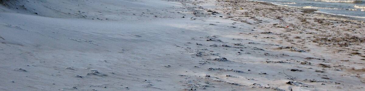 La plage des Escardines