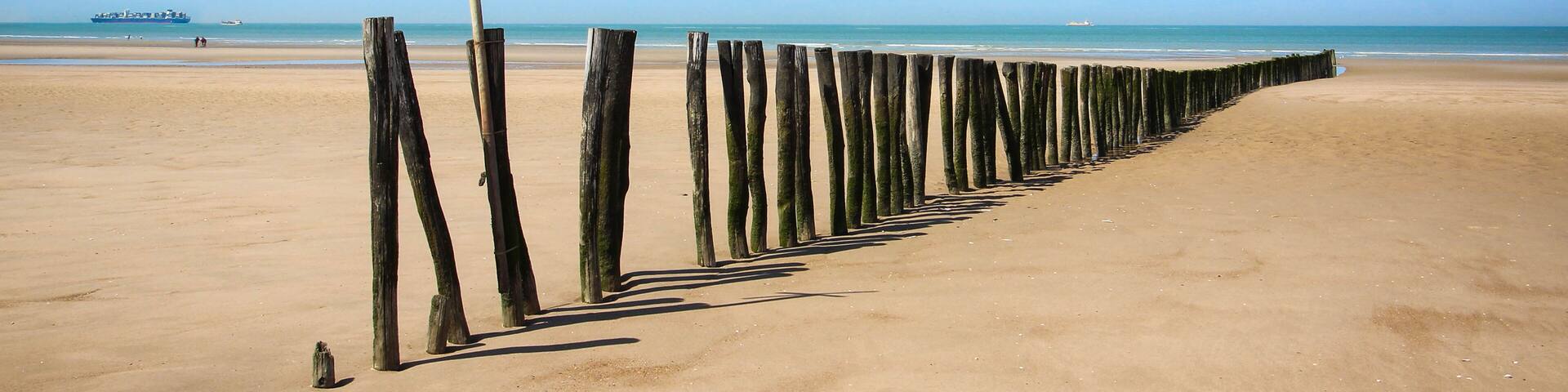 Oye-plage dans la réserve naturelle du Platier d'Oye, entre Calais et Dunkerque, Hauts-de-France
