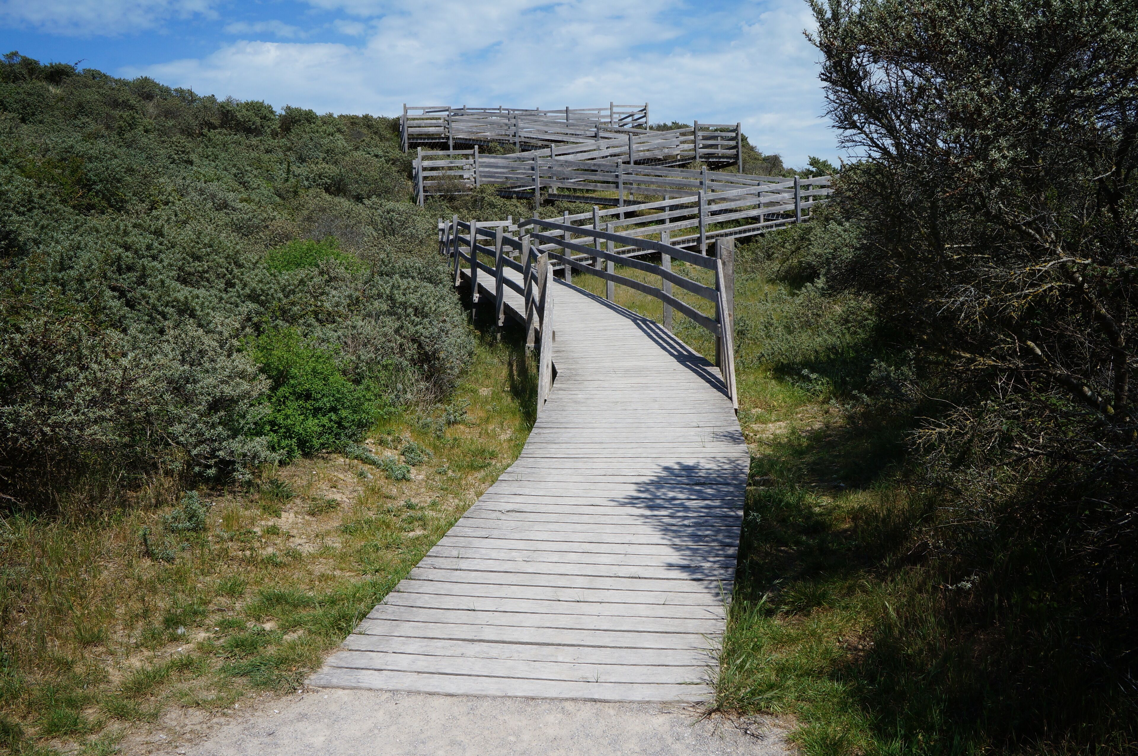 Passage aménagé pour franchir la grande dune dans la Réserve naturelle nationale du Platier d'Oye