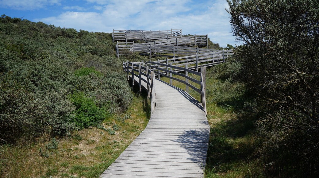 Passage aménagé pour franchir la grande dune dans la Réserve naturelle nationale du Platier d'Oye
