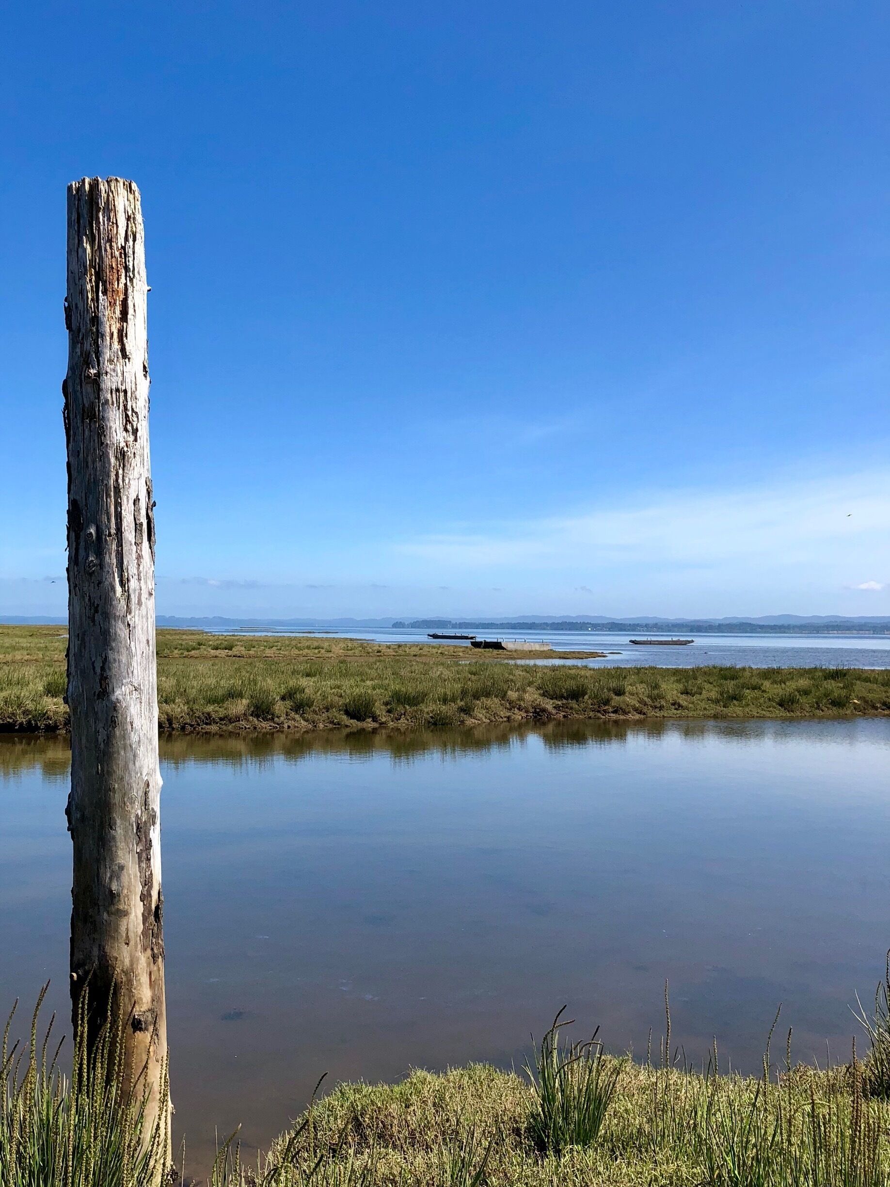 A beautiful day in the historic town of Oysterville  it’s at the north end of the Long Beach Peninsula next to the Willipa National Wildlife Refuge. 