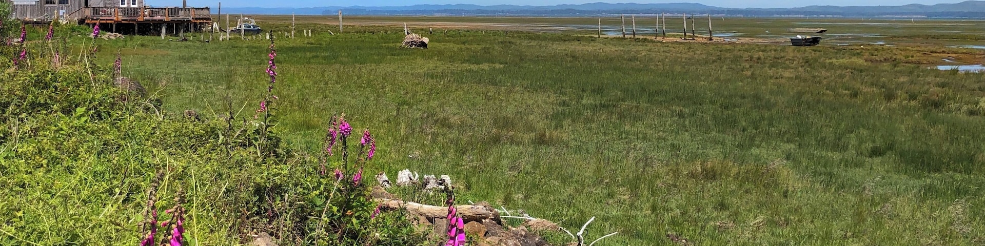 Fantastic view looking towards the historic cannery, snow-capped mountains, wild flowers, mud flats and way in the background, the oyster beds. June 2019
#Nature