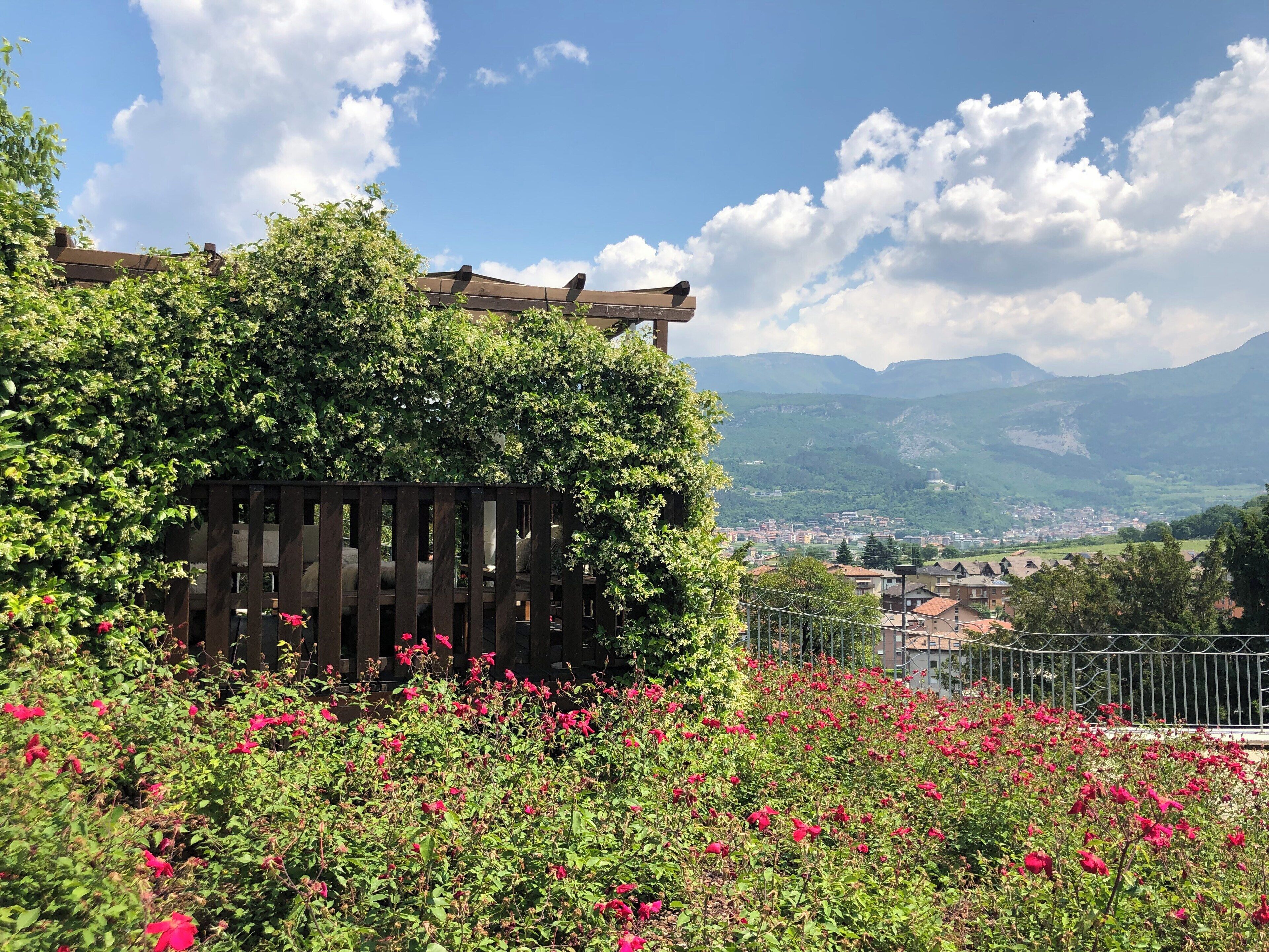 Amazing wine and even better food at this gorgeous spot north of Milan!!! Take in the smell of wild flowers as you sip some delicious Chianti ❤️ #adventure #italy #wine #northernitaly #food #italia #winery #vineyard