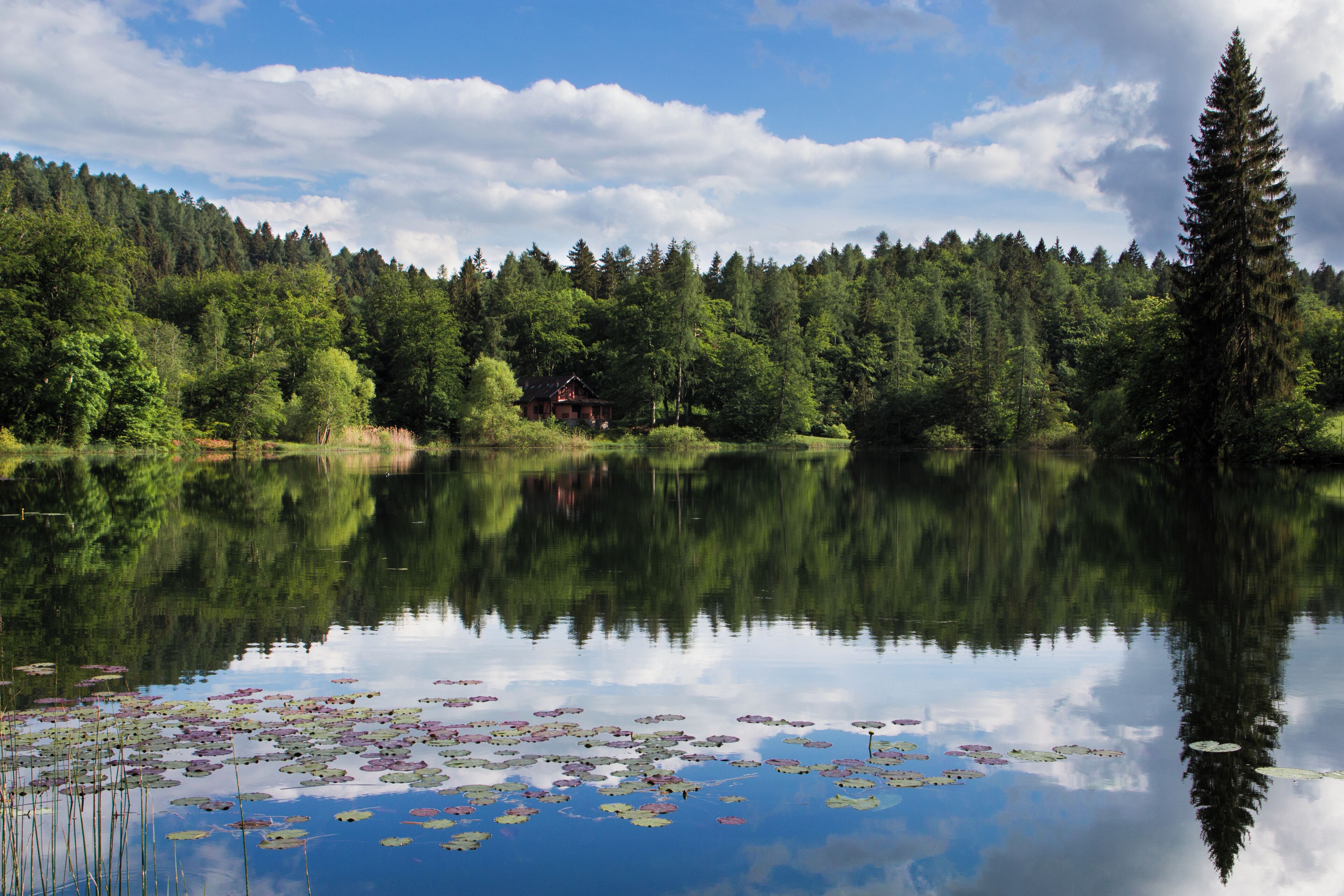 Biotopo Prà dell'Albi-Cei (Q3640240)