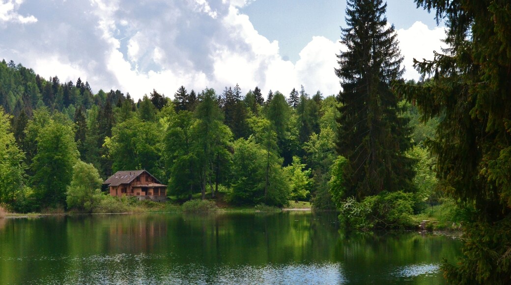 Biotopo Prà dell'Albi-Cei (Q3640240)