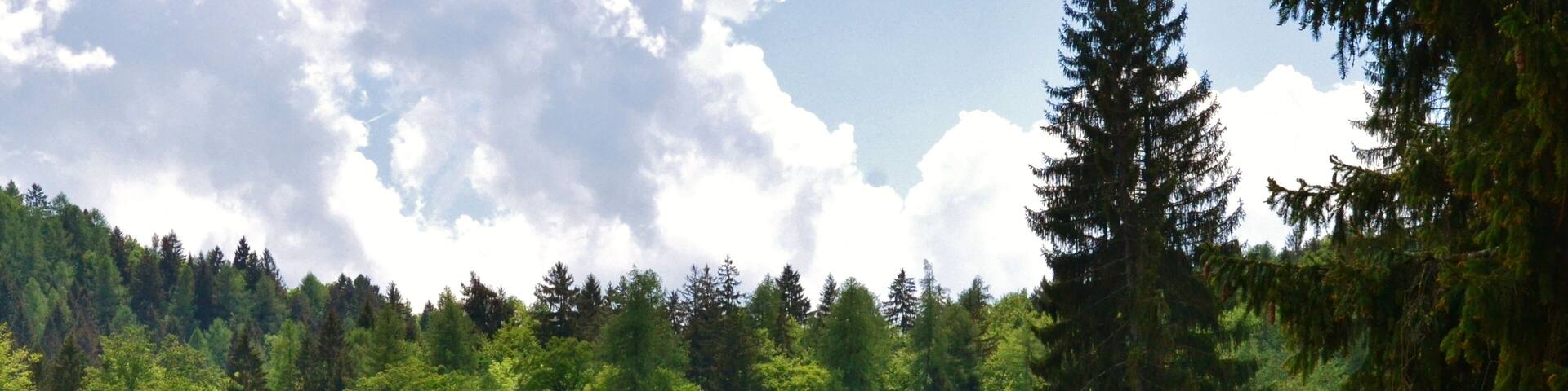 Biotopo Prà dell'Albi-Cei (Q3640240)