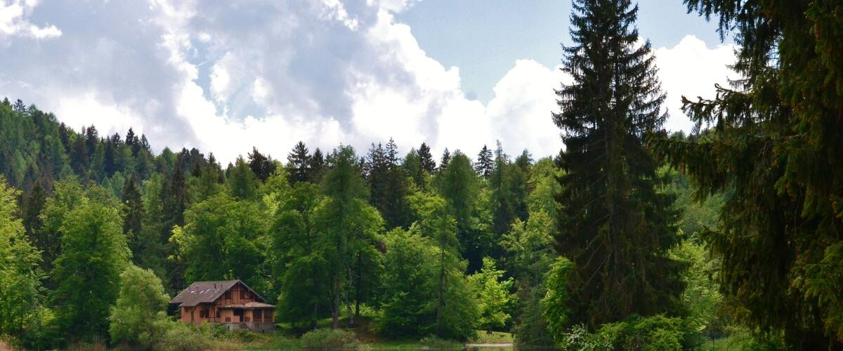 A lake surrounded by dense forest and a wooden cabin.