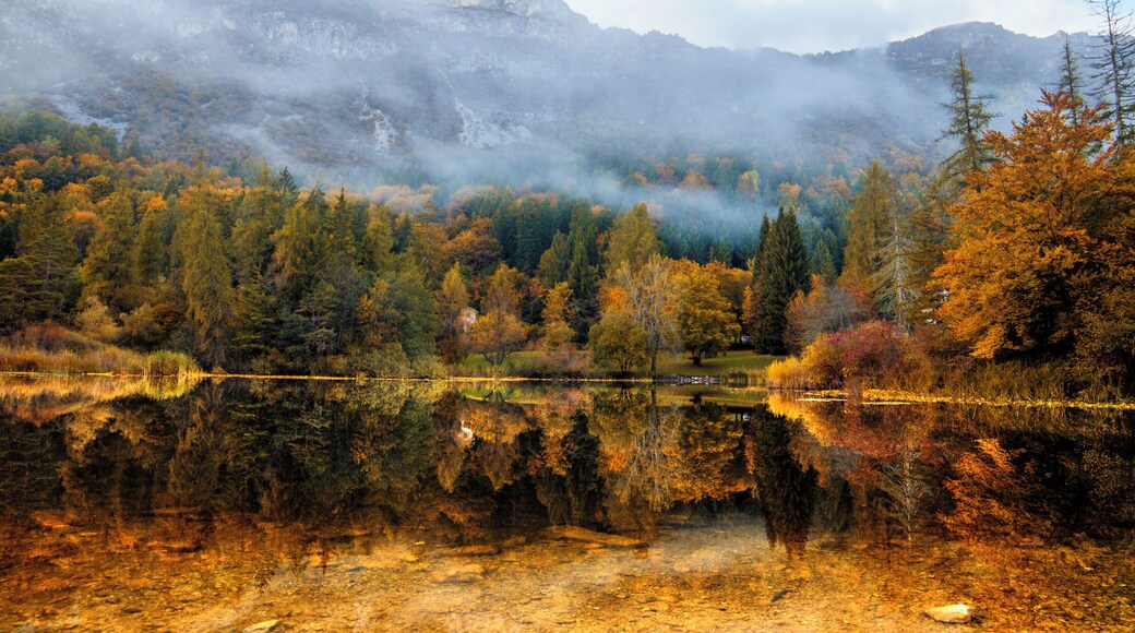 Biotopo Prà dell'Albi-Cei (Q3640240)