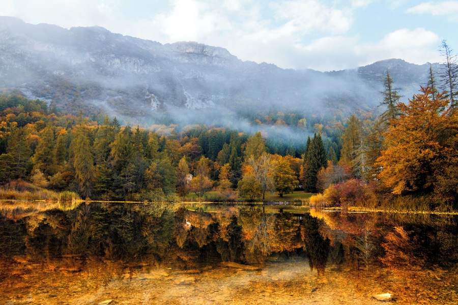 Biotopo Prà dell'Albi-Cei (Q3640240)