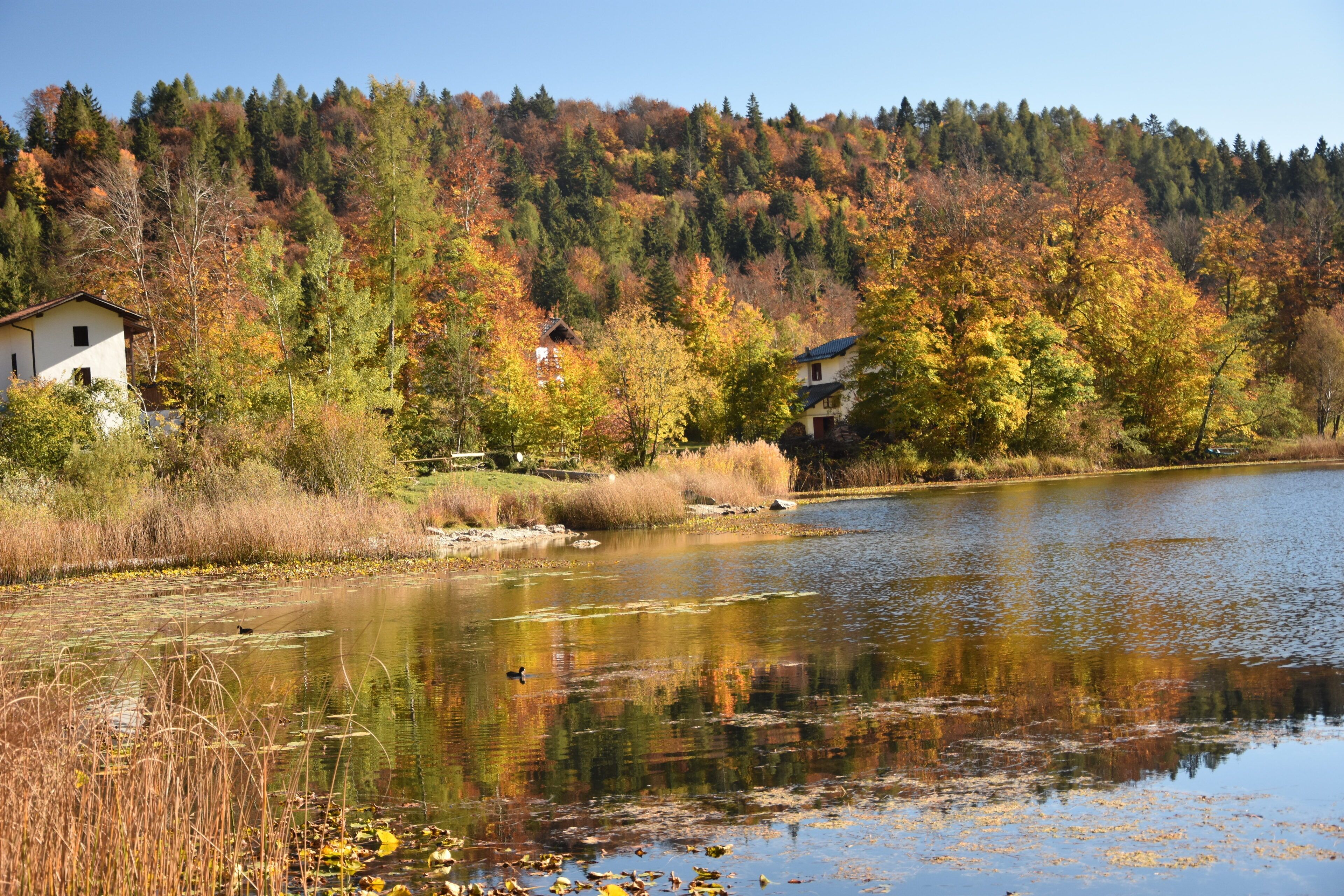 Biotopo Prà dell'Albi-Cei (Q3640240)