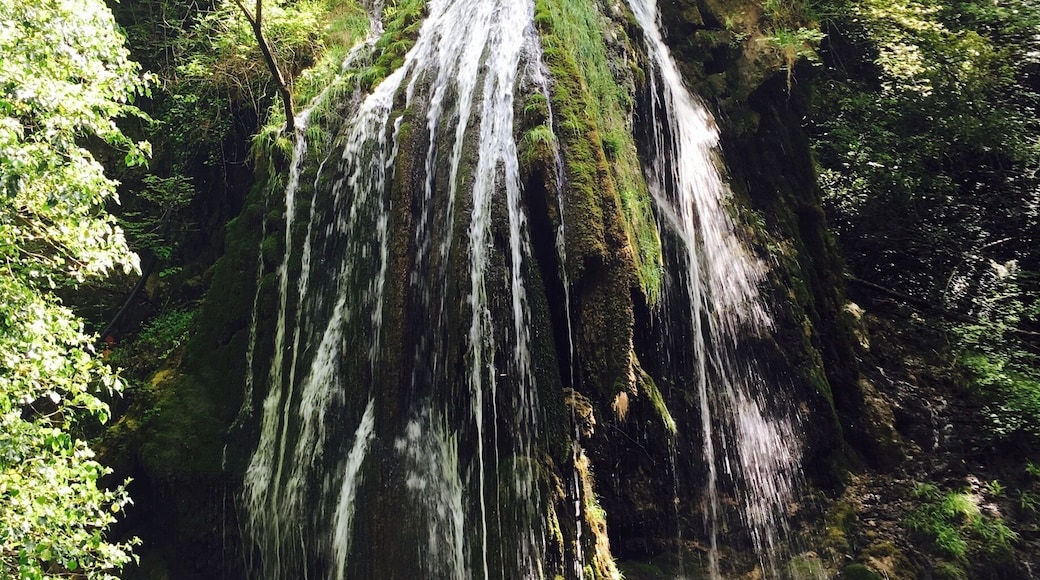 #calavino #natura #ruscello #sentiero #cascate #pace
#nature #peace #water #waterfall #stream