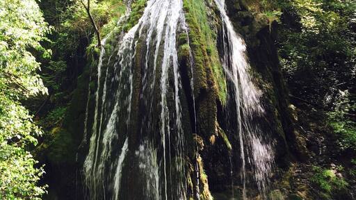 #calavino #natura #ruscello #sentiero #cascate #pace
#nature #peace #water #waterfall #stream