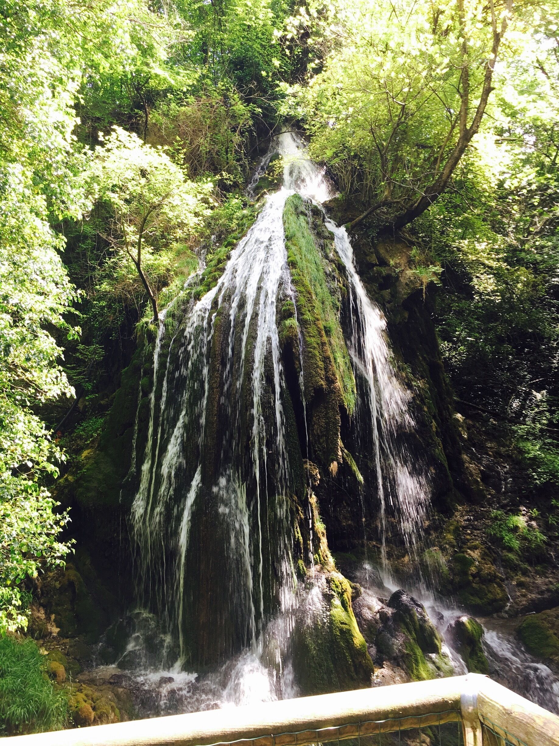 A waterfall cascading down a moss-covered rock in a forested area.