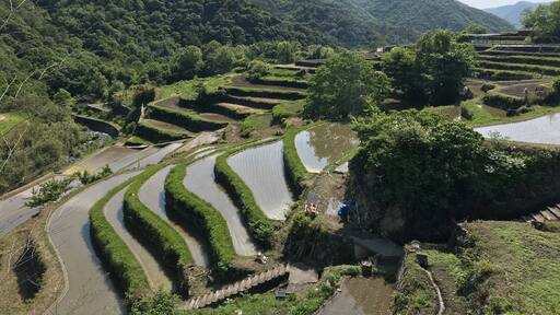 Rice terraces on Shodoshima, an island in the Japanese inland sea.
#Japan#Shodoshima
