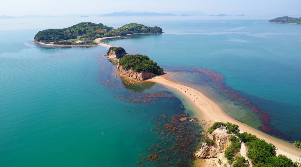 Isla Shodoshima