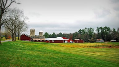 Green Fields of Autumn / Farmland in upstate New York in Autumn