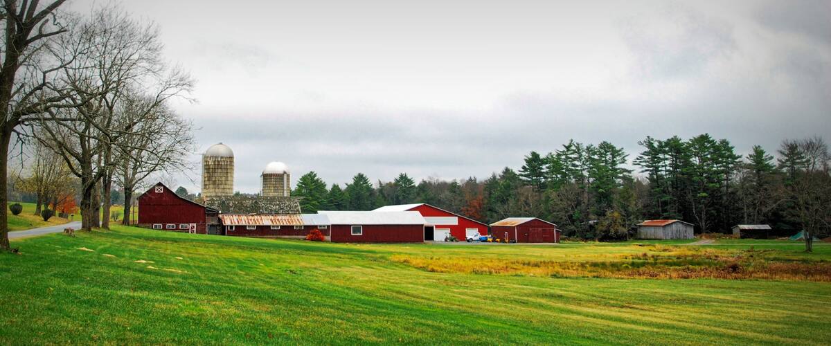 A rural landscape with a red barn, a silo, and a farmhouse.