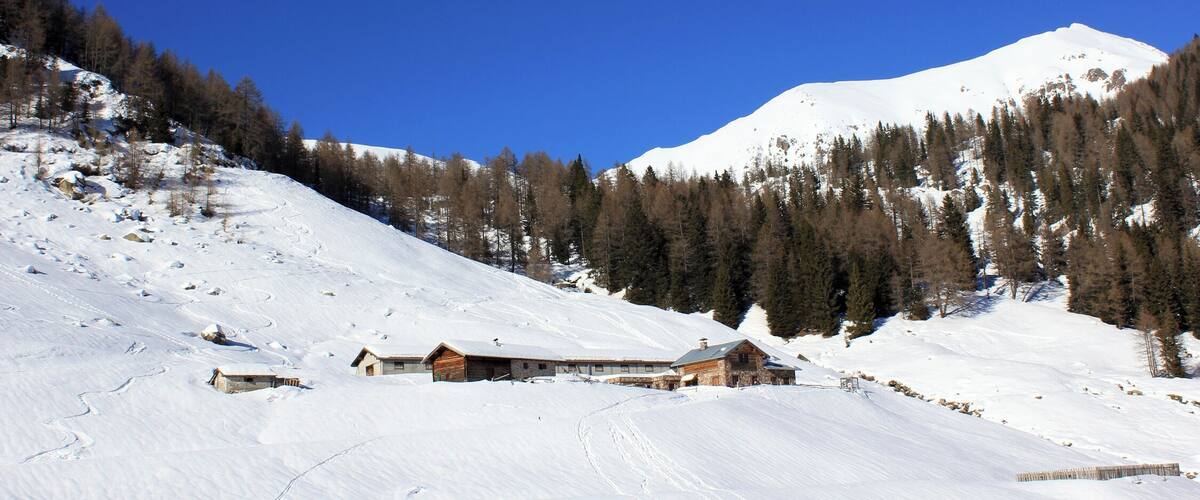 Malga Cagnon di sotto