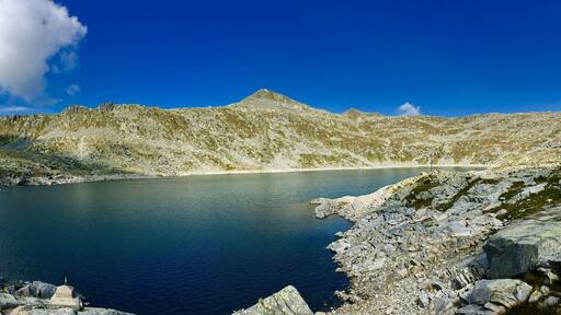 Parco Naturale Adamello (Q47780554)