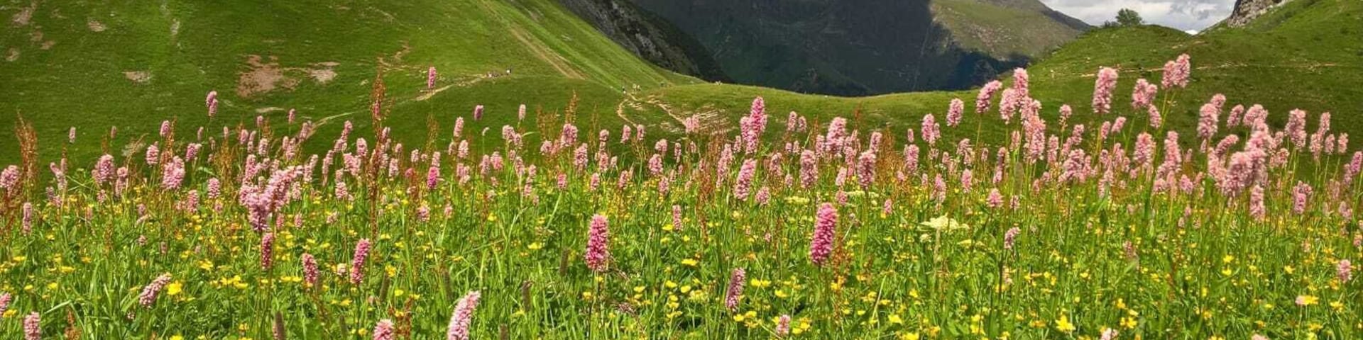 parco regionale delle Orobie Bergamasche (Q3895555)