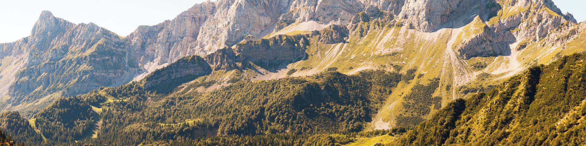 A rugged mountain range with dense forests and a clear sky.