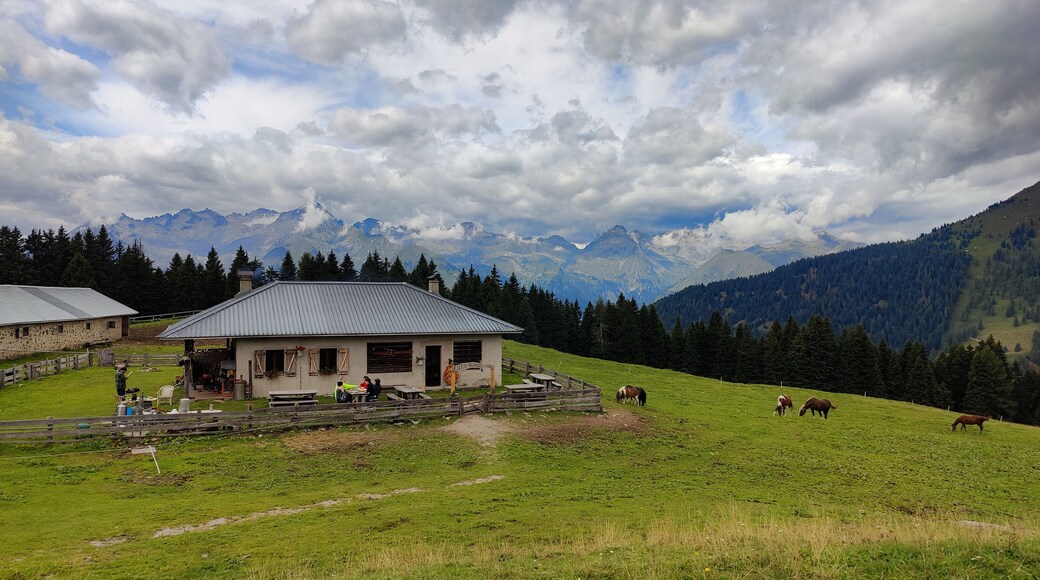 Alps Mountain ladscape of the Adamello Brenta park