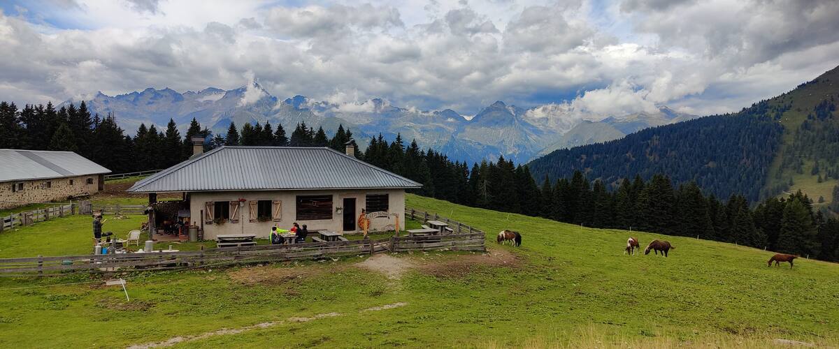 A rural house with a metal roof, surrounded by a fenced pasture with grazing horses, and a mountainous backdrop.