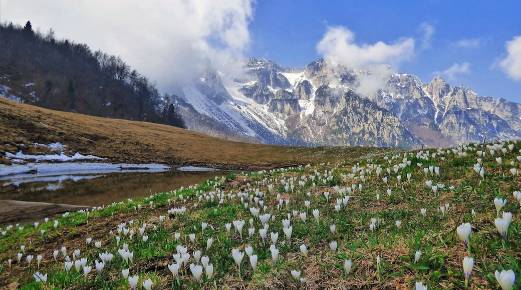Piccole Dolomiti (Q47501408)