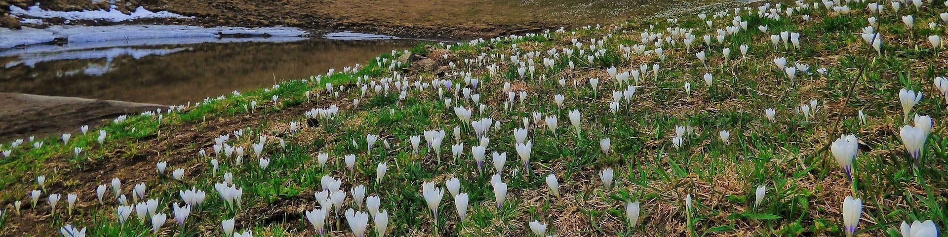Piccole Dolomiti (Q47501408)