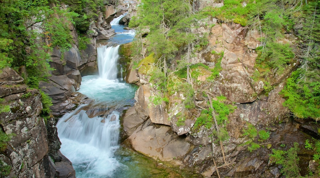 Trentino fasiliteter samt fossefall og elv eller bekk