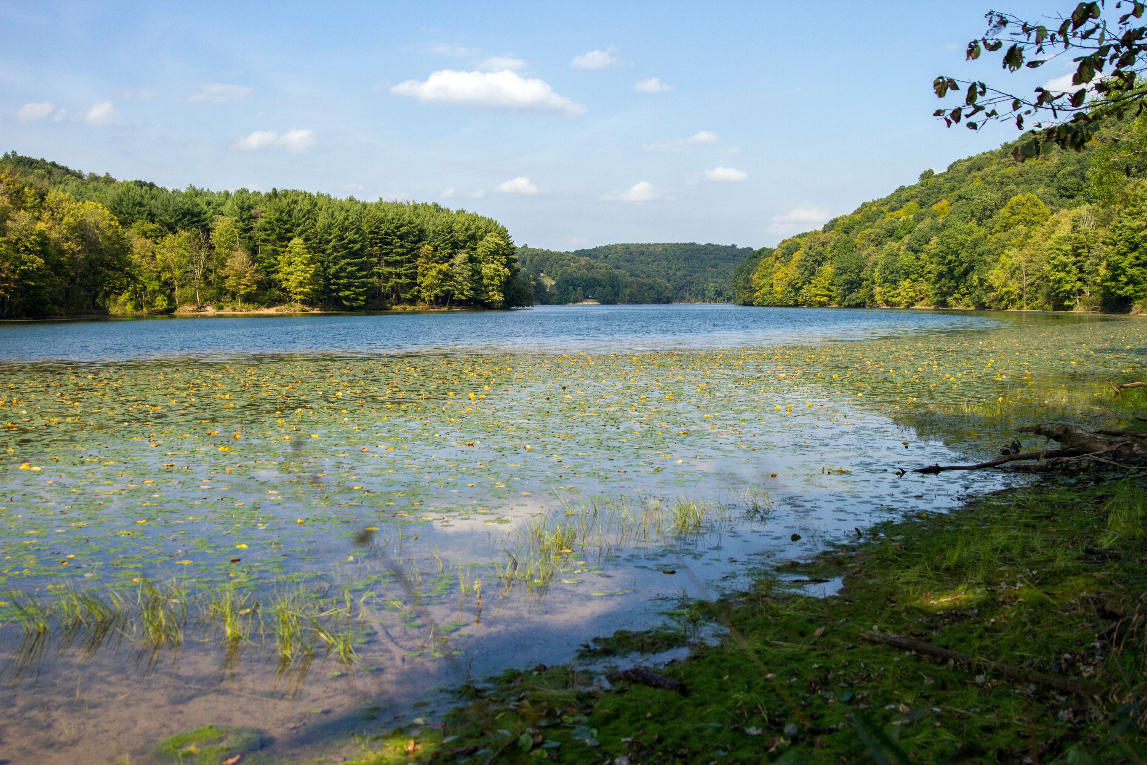 Reservoir in Beaver County Pennsylvania